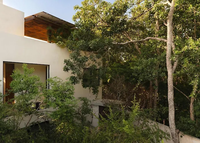 Casa Manati Modern Mansion With Pool